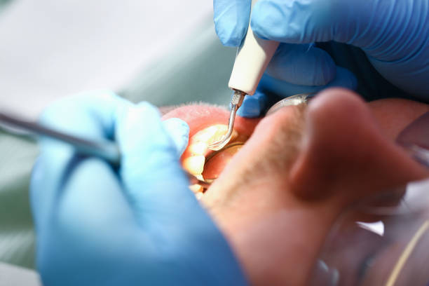 Best Emergency Denture Repair in Leupp, AZ
